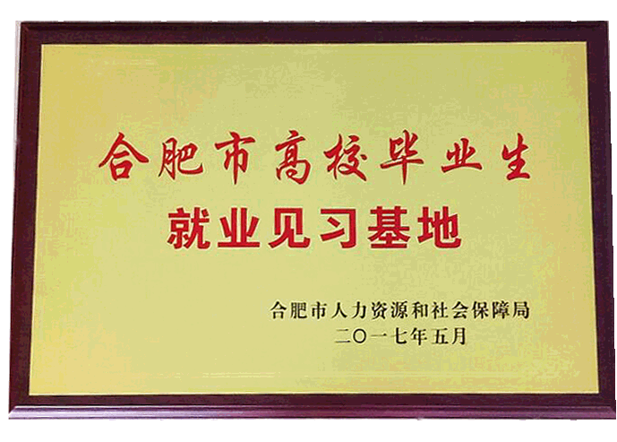 喜訊：公司“合肥市高校畢業生就業 見習基地”申報成功